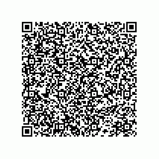 vCard 78172796208