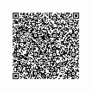 vCard 78172796210