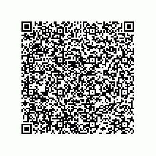 vCard 78172796217