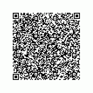 vCard 78172796233