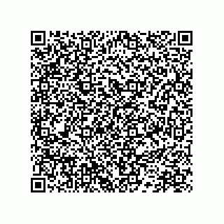 vCard 78172796265