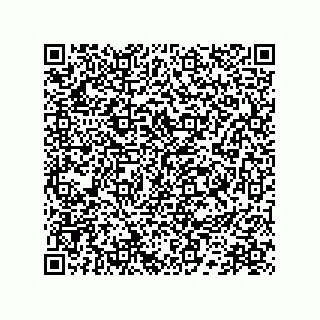 vCard 78172796279