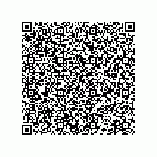 vCard 78172796287