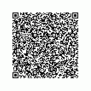 vCard 78172796289