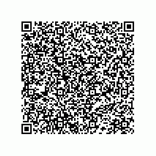 vCard 78172796290