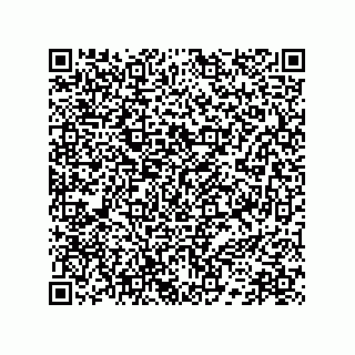 vCard 78172796293