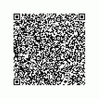vCard 78172796296