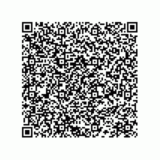 vCard 78172796311