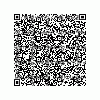 vCard 78172796313