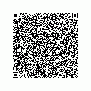 vCard 78172796333