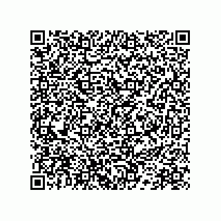 vCard 78172796352