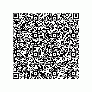 vCard 78172796369
