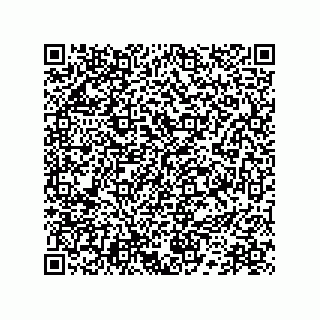 vCard 78172796379