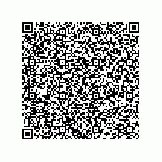 vCard 78172796381