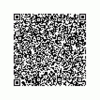 vCard 78172796382