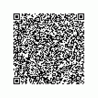 vCard 78172796383