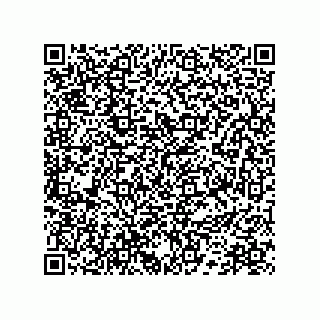 vCard 78172796385