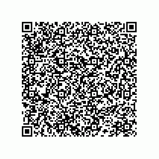 vCard 78172796387