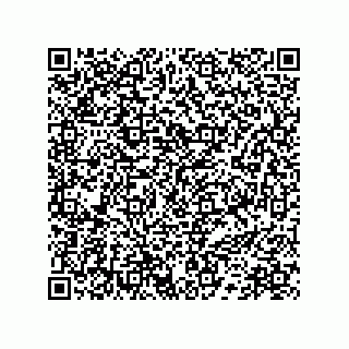 vCard 78172796389