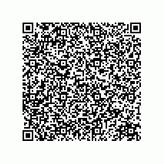 vCard 78173221028