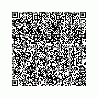 vCard 78173320377