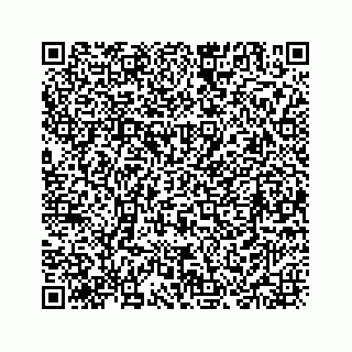 vCard 78173751100