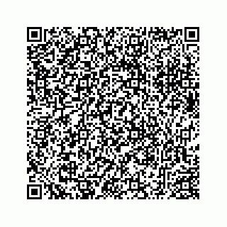 vCard 78173751101