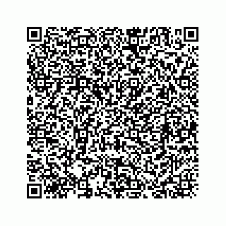 vCard 78173751199