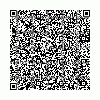 vCard 78173840031