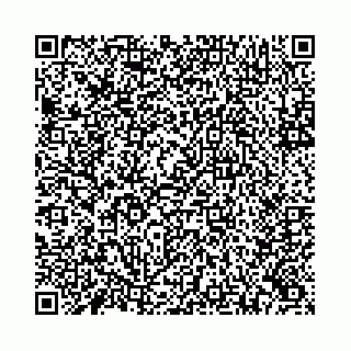 vCard 78173840288