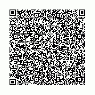 vCard 78173840317