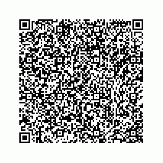vCard 78173841011