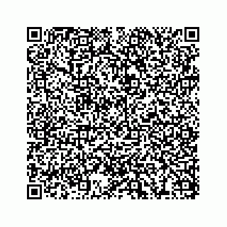 vCard 78173841319