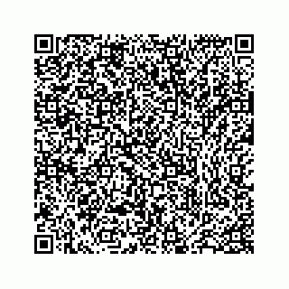 vCard 78173841334