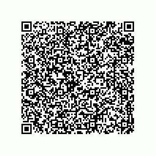 vCard 78174323313
