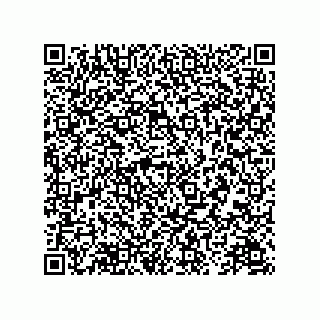 vCard 78174323411