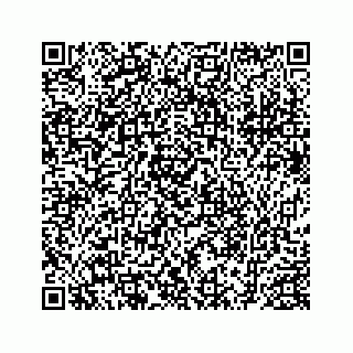 vCard 78174644381