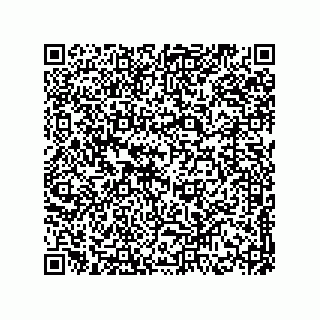 vCard 78174838102