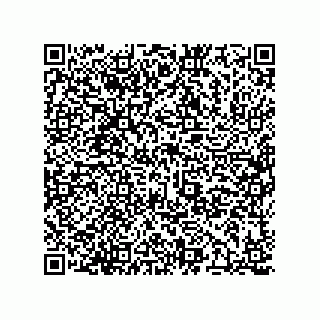 vCard 78174838111