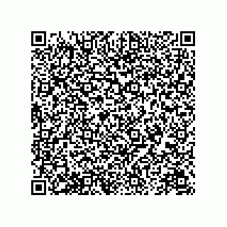 vCard 78174838113