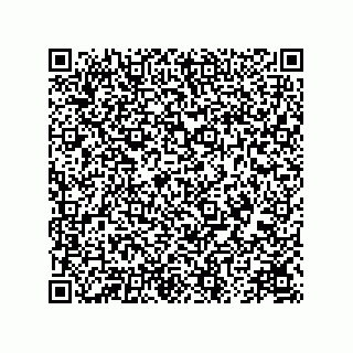 vCard 78174838117
