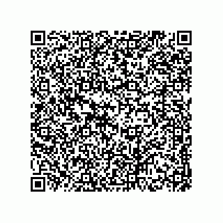 vCard 78174838131