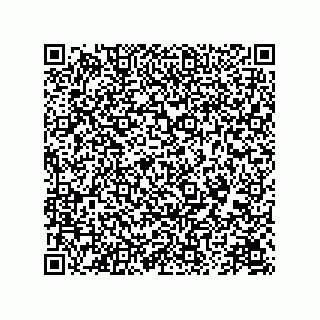 vCard 78174838132