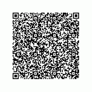 vCard 78174838133