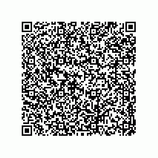 vCard 78174838137