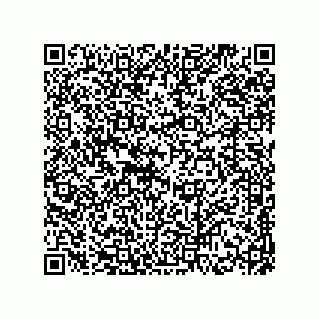 vCard 78174838138