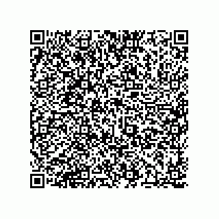 vCard 78174838207