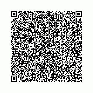 vCard 78174943296