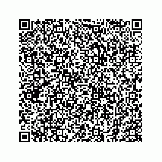 vCard 78174943381