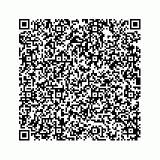 vCard 78175128408